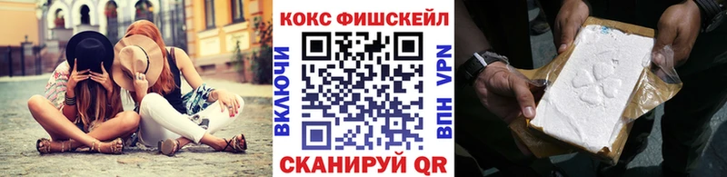 как найти   Сунжа  Кокаин VHQ 
