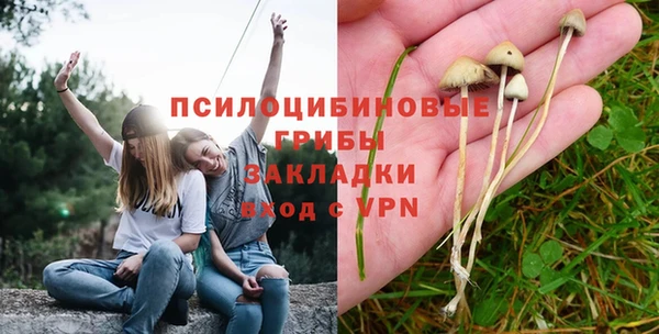 дмт Медвежьегорск