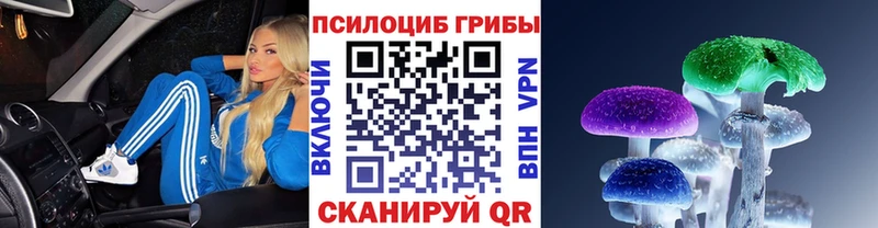 Псилоцибиновые грибы Psilocybine cubensis  купить  сайты  Сунжа 