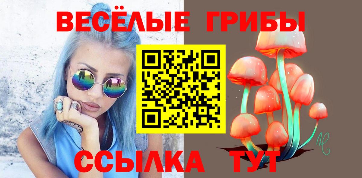 Сунжа  Галлюциногенные грибы ЛСД  Вход с VPN 
