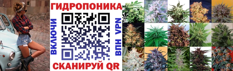 omg рабочий сайт  Сунжа  Каннабис марихуана 